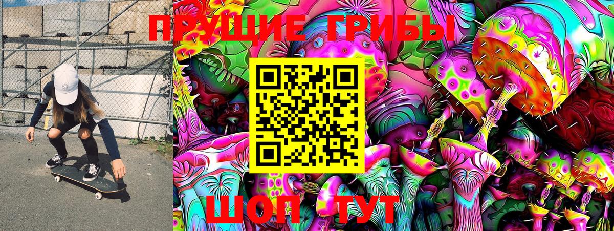 Псилоцибиновые грибы Psilocybe  Вход с VPN  Алексин  Псилоцибиновые грибы Psilocybe 