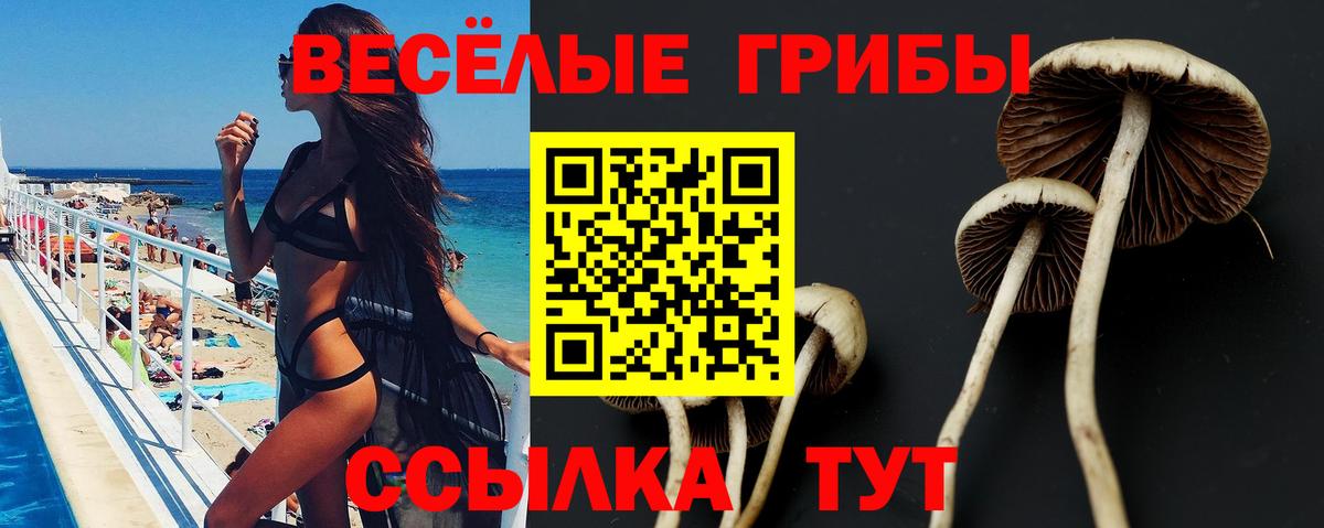 Псилоцибиновые грибы MAGIC MUSHROOMS Алексин